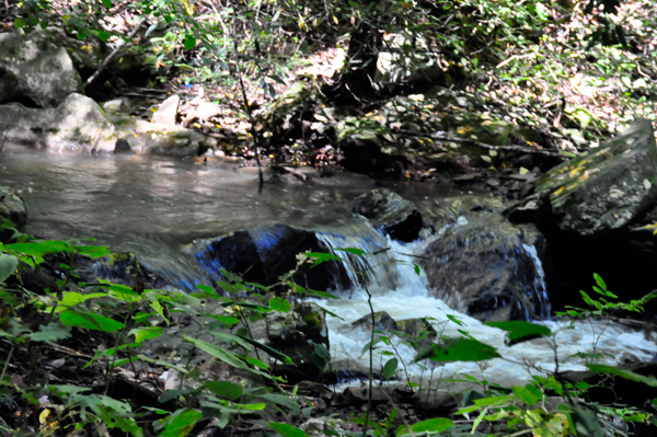 a small dam flowing from Colt Creek 